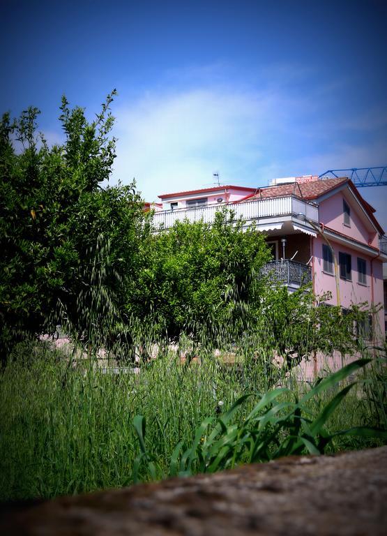 Apartment Amira Luxury